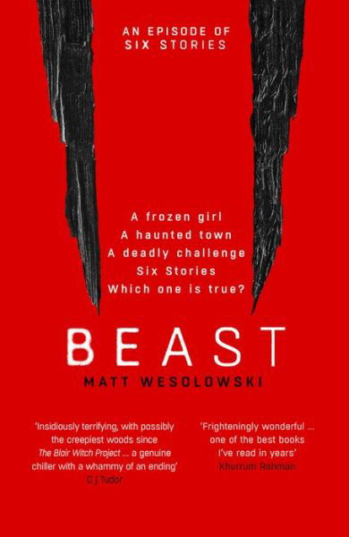 Beast - Six Stories - Matt Wesolowski - Books - Orenda Books - 9781913193133 - February 20, 2020