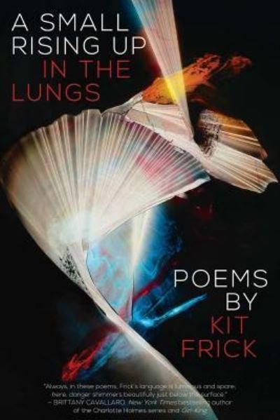 Cover for Kit Frick · A Small Rising Up in the Lungs (Paperback Book) (2018)