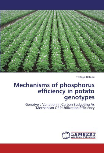 Cover for Tesfaye Balemi · Mechanisms of Phosphorus Efficiency in Potato Genotypes: Genotypic Variation in Carbon Budgeting As Mechanism of P Utilization Efficiency (Pocketbok) (2012)