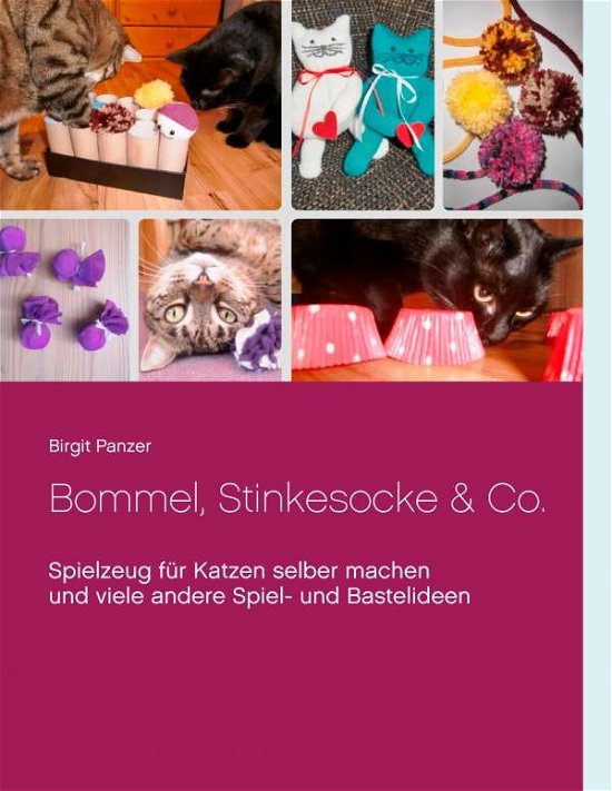 Cover for Panzer · Bommel, Stinkesocke &amp; Co. (Book)