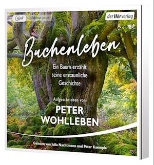 Cover for Peter Wohlleben · Buchenleben (Hörbuch (CD)) (2024)