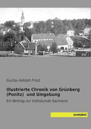 Cover for Frost · Illustrierte Chronik von Grünberg (N/A)