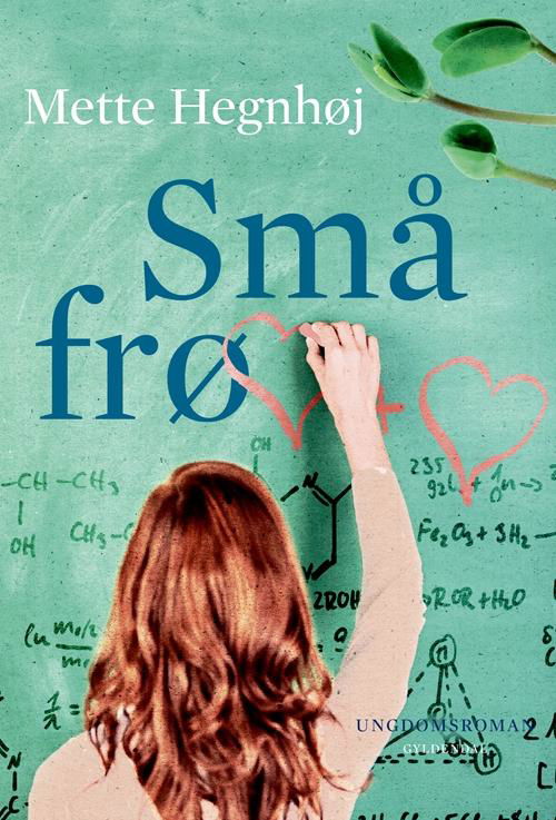 Cover for Mette Hegnhøj Mortensen · Kontekst og intertekst: Små frø (Sewn Spine Book) [1st edition] (2014)