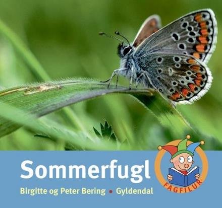 Cover for Peter Bering; Birgitte Bering · Fagfilur: Sommerfugl (Indbundet Bog) [1. udgave] (2016)