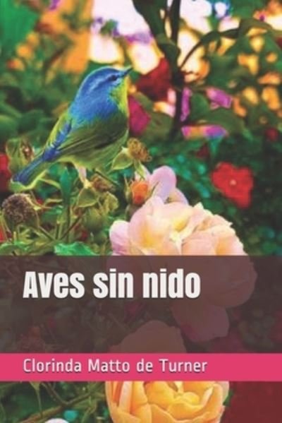 Cover for Clorinda Matto De Turner · Aves sin nido (Pocketbok) (2021)