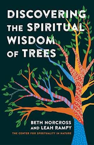 Cover for Beth Norcross · Discovering the Spiritual Wisdom of Trees (Hardcover Book) (2025)