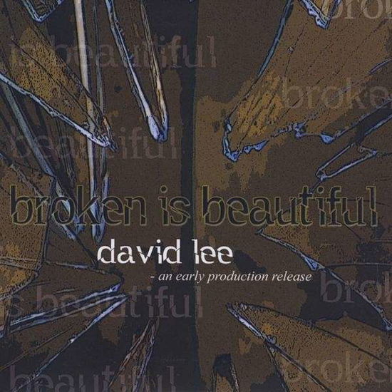 Cover for David Lee · Broken is Beautiful (CD) (2009)