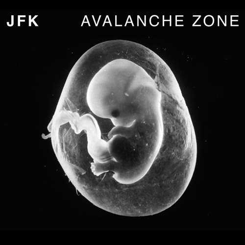 Cover for Jfk · Avalanche Zon (CD) (2023)