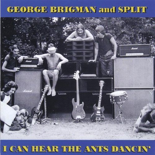 I Can Hear the Ants Dancin - George Brigman - Música - BONAFI - 0880336002134 - 15 de junio de 2005