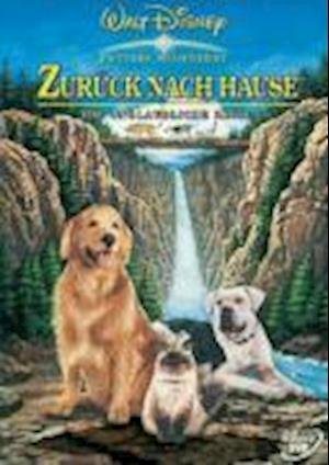 Cover for Den fantastiske hjemrejse (1993) [DVD] (DVD) (2024)