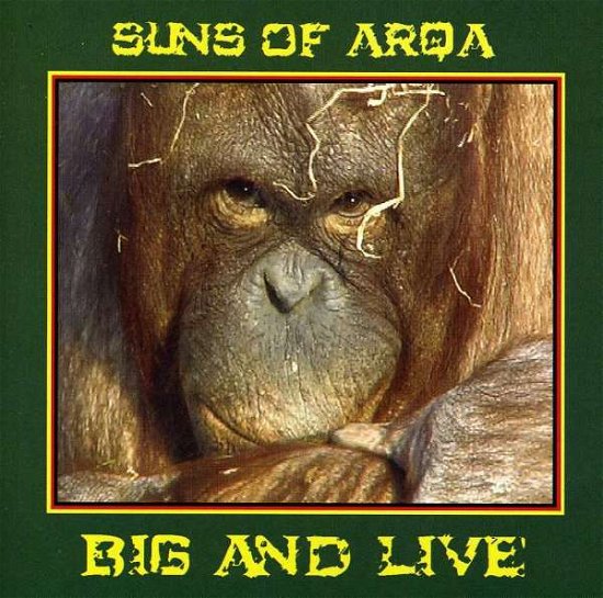 Cover for Suns of Arqa · Big and Live (CD) (2011)