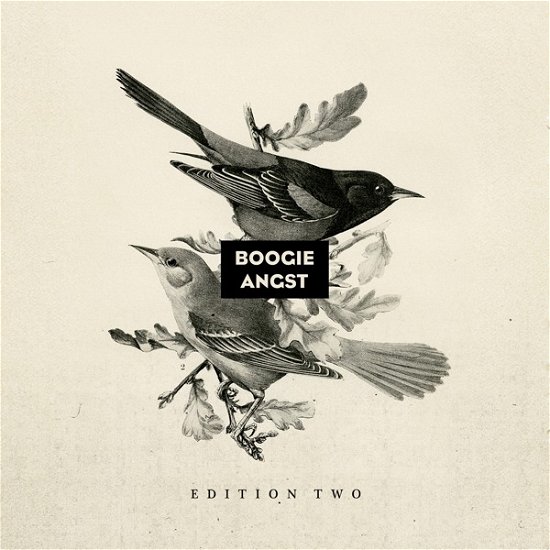Boogie Angst Edition Two Vinyl Sampler - V/A - Music - BOOGIE ANGST - 5050580702134 - November 23, 2018
