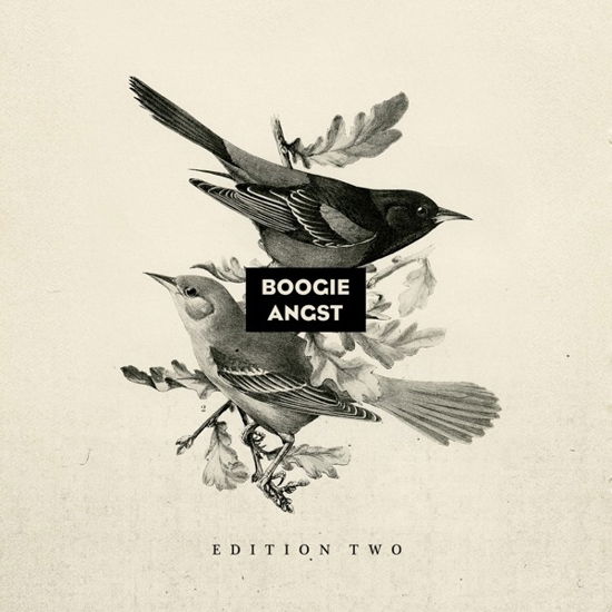 Boogie Angst Edition Two Vinyl Sampler - V/A - Musik - BOOGIE ANGST - 5050580702134 - 23. november 2018