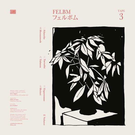 Cover for Felbm · Tape 3 / Tape 4 (LP) (2020)