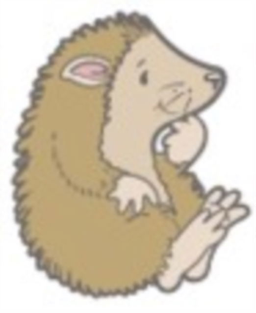 Hedgehog Character Pin Badge -  - Merchandise - Pawprint Family - 5060769432134 - May 3, 2023