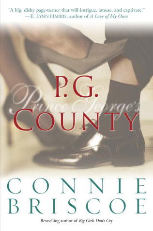 Cover for Connie Briscoe · P.g. County (Paperback Book) [Reprint edition] (2003)