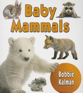 Cover for Bobbie Kalman · Baby Mammals - Its Fun to Learn About Baby Animals (Paperback Book) (2013)