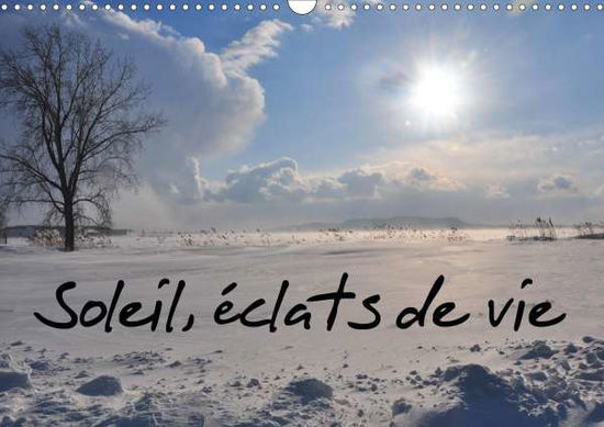 Cover for Meunier · Soleil, éclats de vie (Calendri (Book)