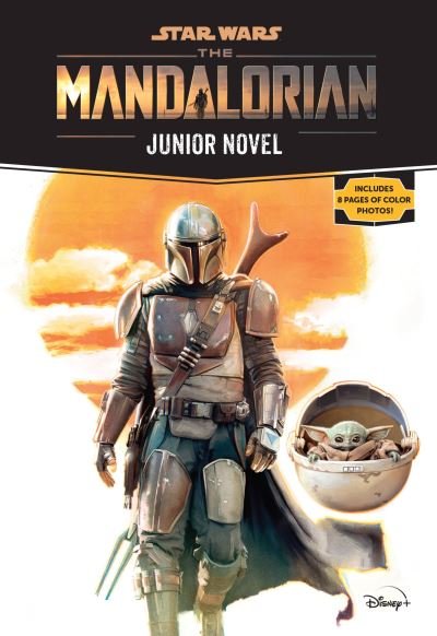 Cover for Joe Schreiber · Star Wars: The Mandalorian Junior Novel (Taschenbuch) (2021)