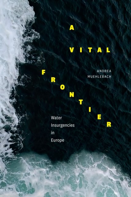 Cover for Andrea Muehlebach · A Vital Frontier: Water Insurgencies in Europe (Hardcover bog) (2023)