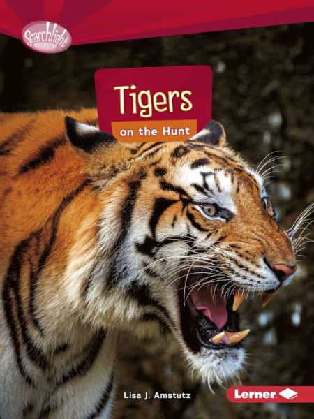 Tigers on the Hunt - Searchlight Books — Predators - Lisa J. Amstutz - Książki - Lerner Publishing Group - 9781512456134 - 1 sierpnia 2017