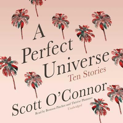 Cover for Scott O'Connor · A Perfect Universe Lib/E (CD) (2018)