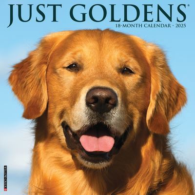 Willow Creek Press · Just Goldens 2025 12 X 12 Wall Calendar (Calendar) (2024)