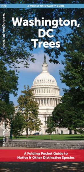 Cover for Waterford Press · Washington, DC Trees: A Folding Pocket Guide to Native &amp; Other Distinctive Species - Pocket Naturalist Guide (Pamphlet) (2024)