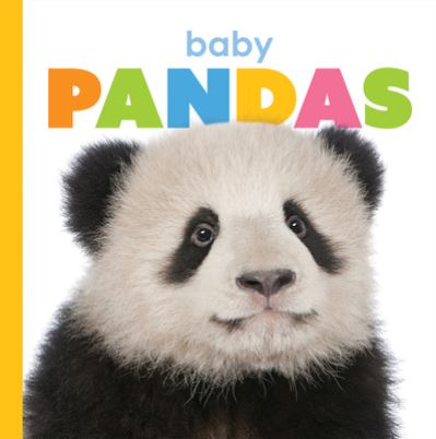 Cover for Kate Riggs · Baby Pandas (Book) (2020)