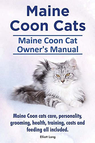 Cover for Elliott Lang · Maine Coon Cats. Maine Coon Cat Owner's Manual. Maine Coon Cats Care, Personality, Grooming, Health, Training, Costs and Feeding All Included. (Paperback Book) (2014)