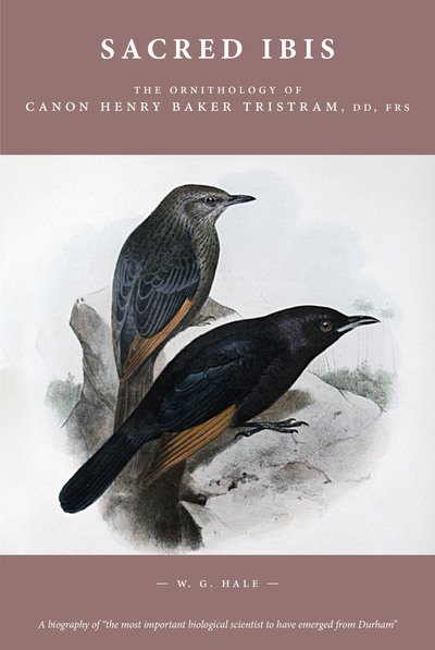 Cover for Prof. W. G. Hale · Sacred Ibis: The Ornithology of Canon Henry Baker Tristram, DD, FRS (Gebundenes Buch) (2016)
