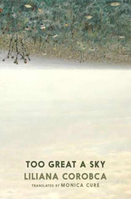 Cover for Liliana Corobca · Too Great A Sky (Paperback Book) (2024)