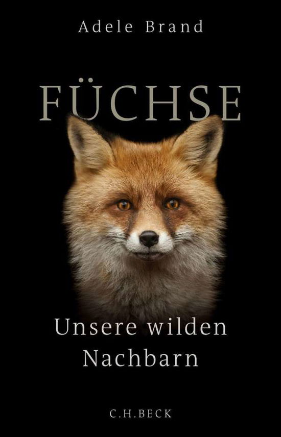 Cover for Brand · Füchse (Book)