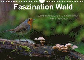 Cover for Lutz Klapp · Faszination Wald. Waldimpressionen aus Nordhessen von Lutz Klapp (Wandkalender 2022 DIN A4 quer) (Kalender) (2021)