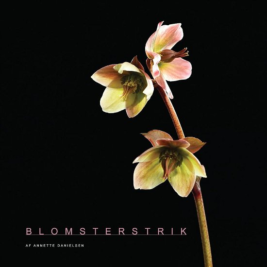 Cover for Annette Danielsen · Blomsterstrik (Bound Book) [1th edição] (2015)