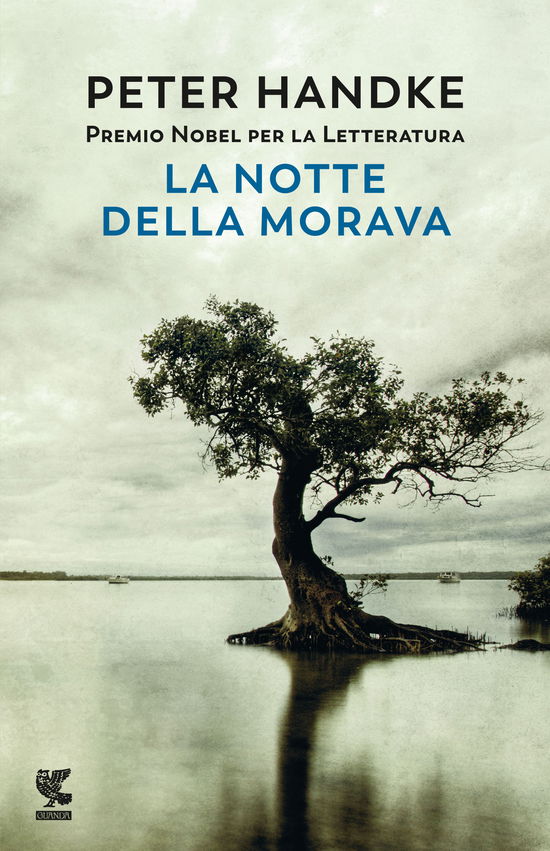 Cover for Peter Handke · La Notte Della Morava (Book)