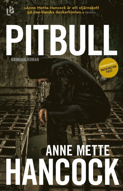 Cover for Anne Mette Hancock · Pitbull (Bound Book) (2022)