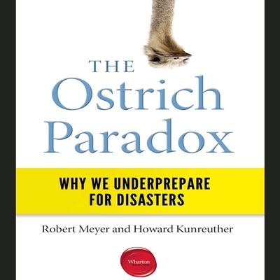 Cover for Robert Meyer · The Ostrich Paradox (CD) (2017)