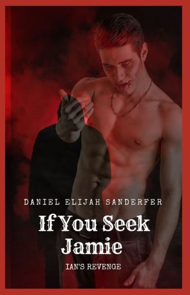 Cover for Daniel Elijah Sanderfer · If You Seek Jamie (Paperback Book) (2020)