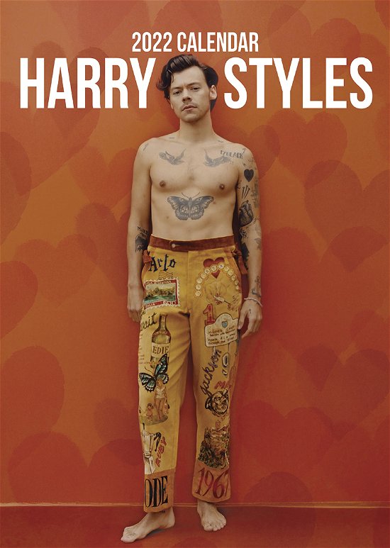Harry Styles 2023 Unofficial Calendar - Harry Styles - Merchandise - VYDAVATELSTIVI - 0617285008135 - 1. juni 2022