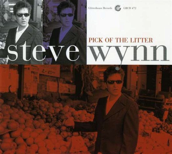 Pick of the Litter - Steve Wynn - Music -  - 0634479118135 - April 12, 2005