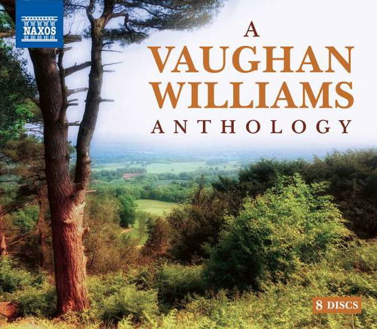 A Vaughan Williams Anthology - Bournemouth Symphony Orchestra - Music - NAXOS - 0747313802135 - April 8, 2022