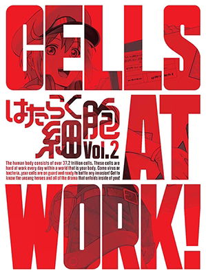 Cover for Shimizu Akane · Cells at Work! Vol.2 &lt;limited&gt; (MDVD) [Japan Import edition] (2018)