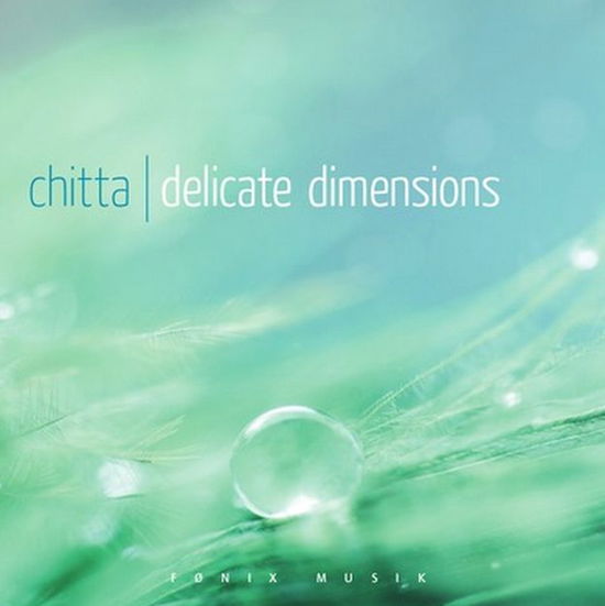 Delicate Dimensions - Chitta - Muziek - FONIX MUSIC - 5709027214135 - 15 januari 2015