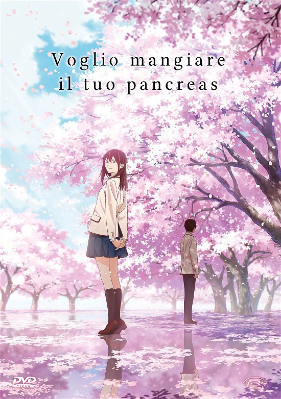 Cover for Animazione Giapponese · Voglio Mangiare Il Tuo Pancreas (DVD) [Standard edition] (2020)