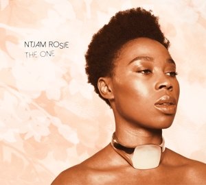 Cover for Ntjam Rosie · One (LP) [180 gram edition] (2015)