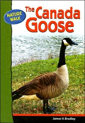 Cover for James Bradley · The Canada Goose - Nature Walk S. (Hardcover Book) (2006)