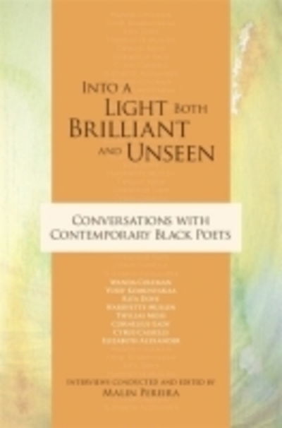 Cover for Malin Pereira · Into a Light Both Brilliant and Unseen: Conversations with Contemporary Black Poets (Paperback Book) (2010)
