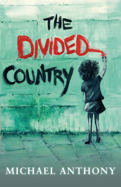 Cover for Michael Anthony · Divided Country (Paperback Book) (2019)