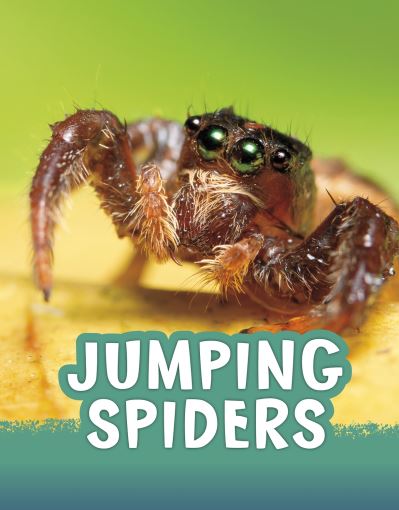 Jumping Spiders - Animals - Jaclyn Jaycox - Books - Capstone Global Library Ltd - 9781398213135 - October 28, 2021